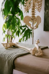 a skeleton on a table