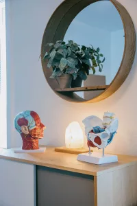 a mirror and a model of a human head